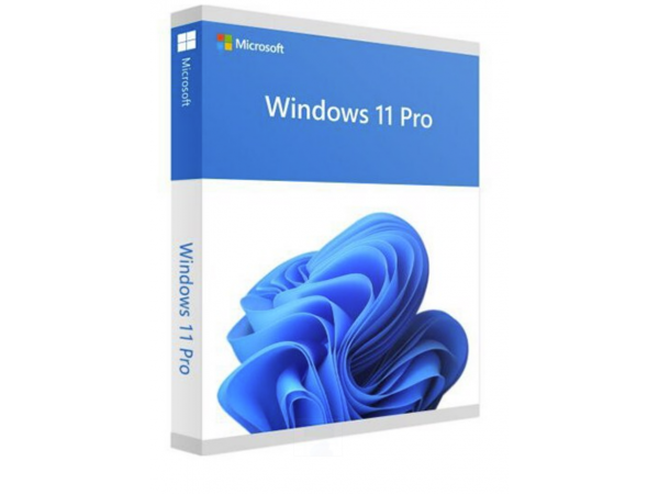 Microsoft Win Pro 11 64Bit Eng Intl 1pk DSP OEI DVD